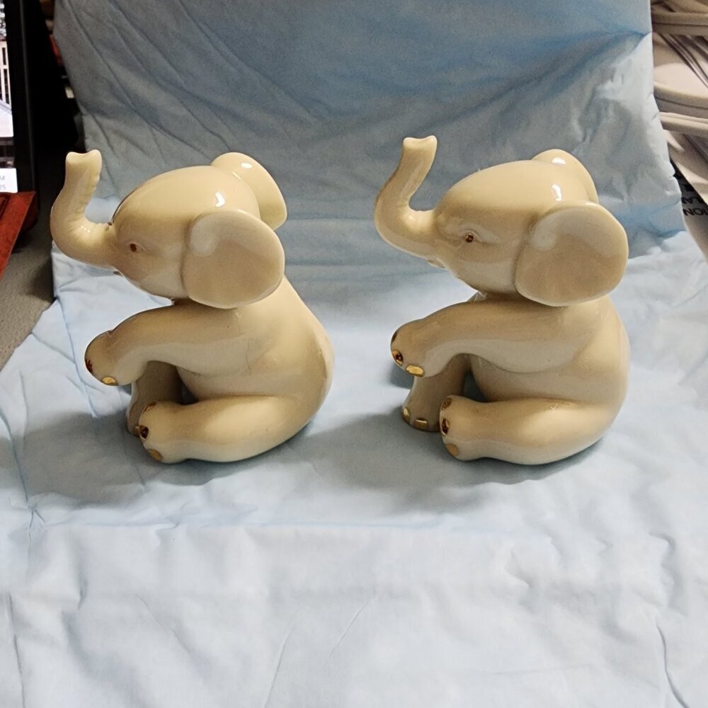 Elephants in Harmony: A Beautiful Duo